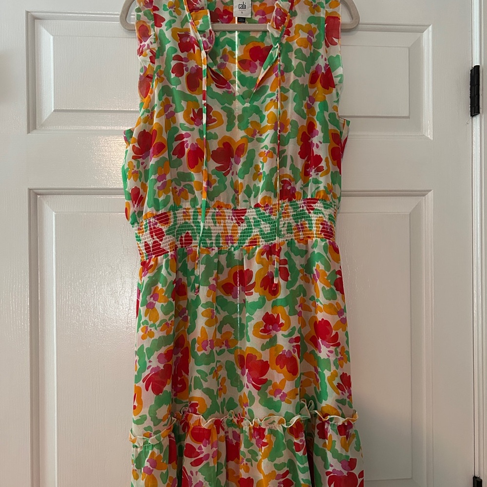 CAbi Spirit Dress